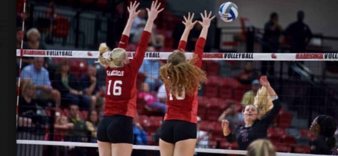 Women’s Volleyball Scholarships by the Numbers