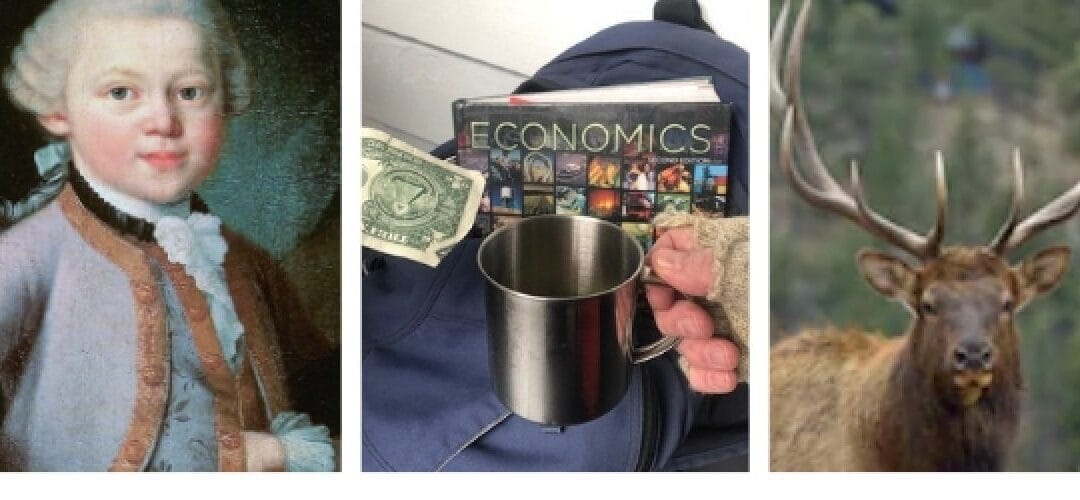 Ten Common Mistakes You Must Avoid in Applying for Scholarships