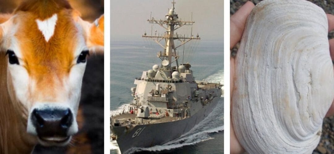 Five Favorite Unusual Colleges